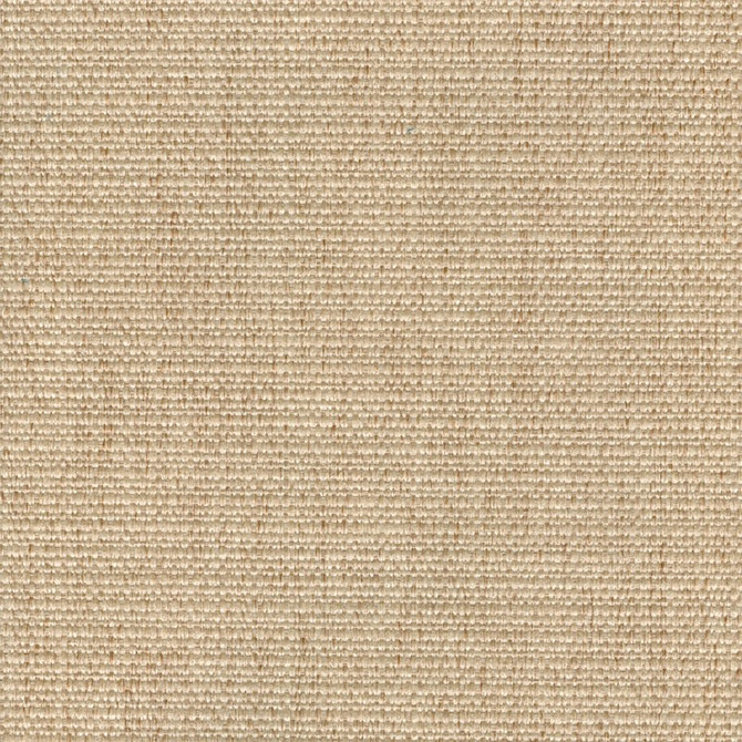 Magnolia Fabric Cachay Oatmeal - 100% Poly China 50000 Horizontal: 0 and Vertical: 0 55" - My Fabric Connection -