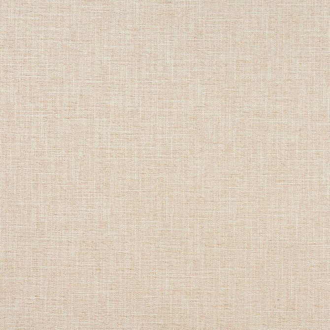 Charlotte Fabric 1328 Cream Ring Book Page #32A 100% Woven Polyester Asia Exceeds 100,000 Wyzenbeek Rubs (Heavy Duty) No Repeat 54 Inches - My Fabric Connection -