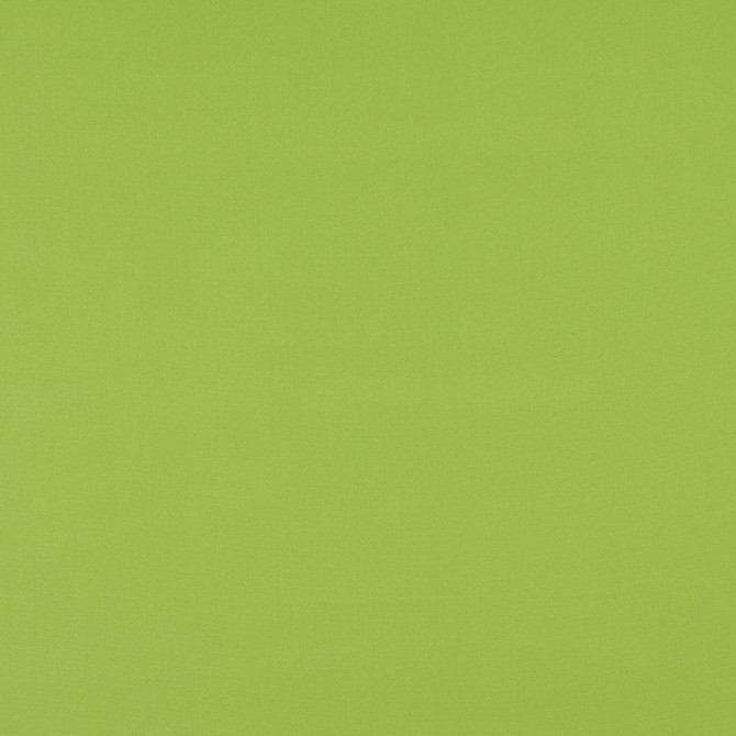 Charlotte Fabric 2469 Lime All Seasons & Outdoor/Indoor Oasis II 100% Solution Dyed Woven Acrylic Italy Exceeds 140,000 Wyzenbeek Rubs (Heavy Duty) No Repeat 54 Inches - My Fabric Connection -