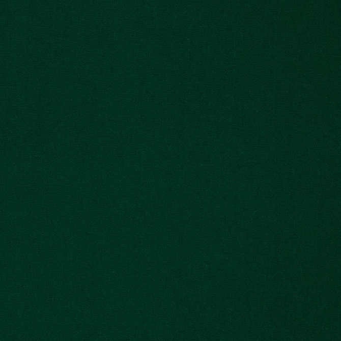 Charlotte Fabric 2478 Forest All Seasons, Decorative Duck & Outdoor/Indoor Oasis II 100% Solution Dyed Woven Acrylic Italy Exceeds 140,000 Wyzenbeek Rubs (Heavy Duty) </p><p>Repeat: 54 Inches - My Fabric Connection -