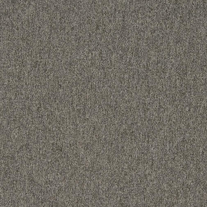 Charlotte Fabric 3200 Graphite Ring Book Page #6 100% Woven Polyester Asia Exceeds 240,000 Wyzenbeek Rubs (Heavy Duty) </p><p>Repeat: 54 Inches - My Fabric Connection -