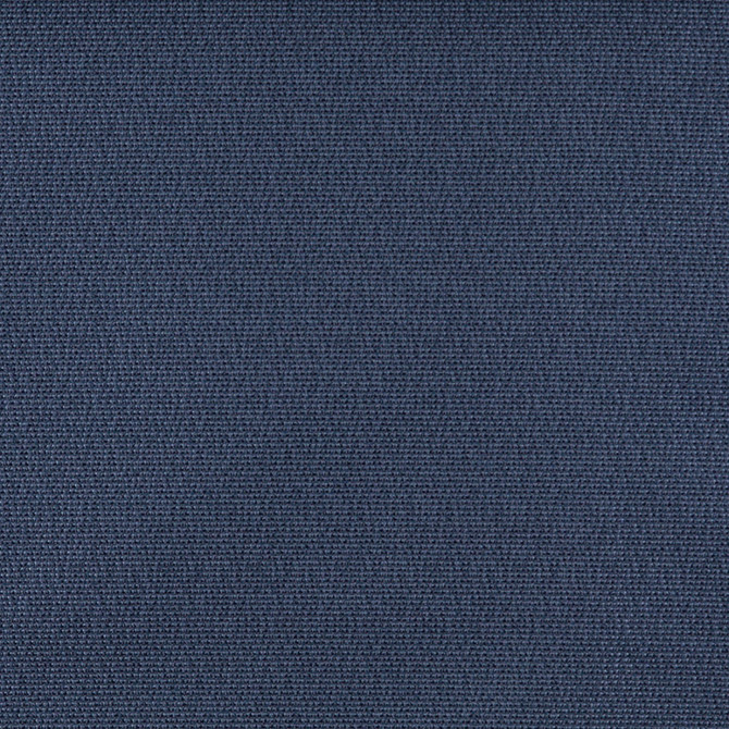 Charlotte Fabric 3824 Royal Decorative Durables XI 69% Olefin, 31% Polyester Made In USA Exceeds 150,000 Wyzenbeek Rubs (Heavy Duty) </p><p>Repeat: No Repeat 54 Inches - My Fabric Connection -