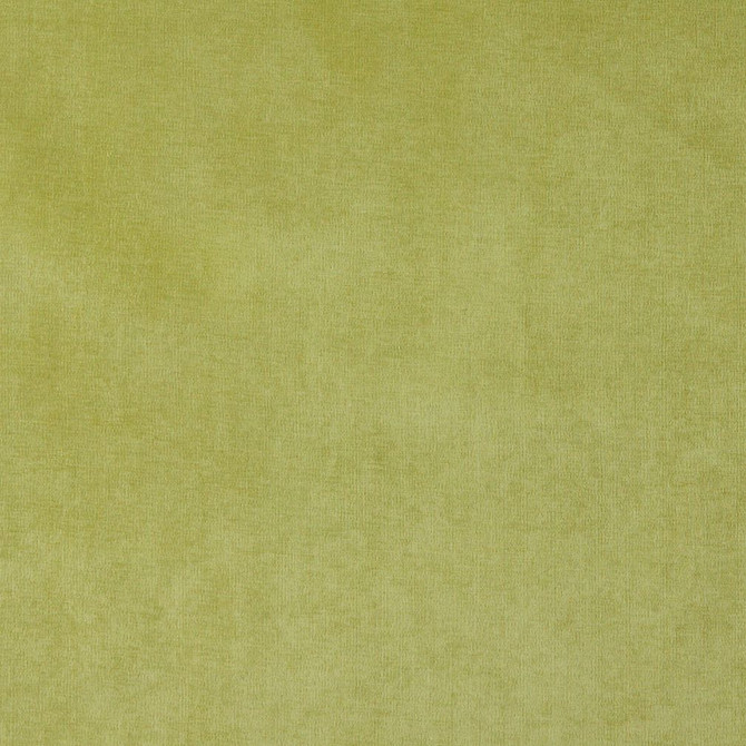 Charlotte Fabric 4229 Spring Elegance of Woven Velvet III 100% Woven Polyester Asia Exceeds 200,000 Wyzenbeek Rubs (Heavy Duty) No Repeat 54 Inches - My Fabric Connection -