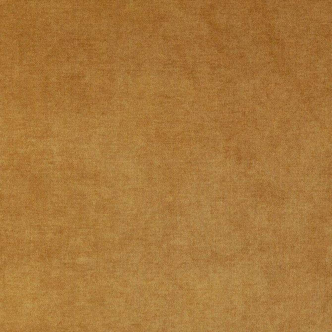 Charlotte Fabric 4236 Gold Elegance of Woven Velvet III 100% Woven Polyester Asia Exceeds 200,000 Wyzenbeek Rubs (Heavy Duty) No Repeat 54 Inches - My Fabric Connection -