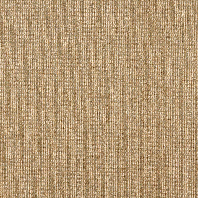 Charlotte Fabric 5172 Seagrass Ring Book Page #38 100% Woven Polyester Asia Exceeds 110,000 Wyzenbeek Rubs (Heavy Duty) No Repeat 54 Inches - My Fabric Connection -