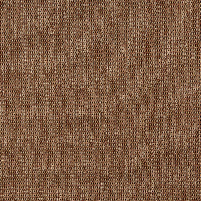 Charlotte Fabric 5173 Nutmeg Ring Book Page #38 100% Woven Polyester Asia Exceeds 110,000 Wyzenbeek Rubs (Heavy Duty) No Repeat 54 Inches - My Fabric Connection -