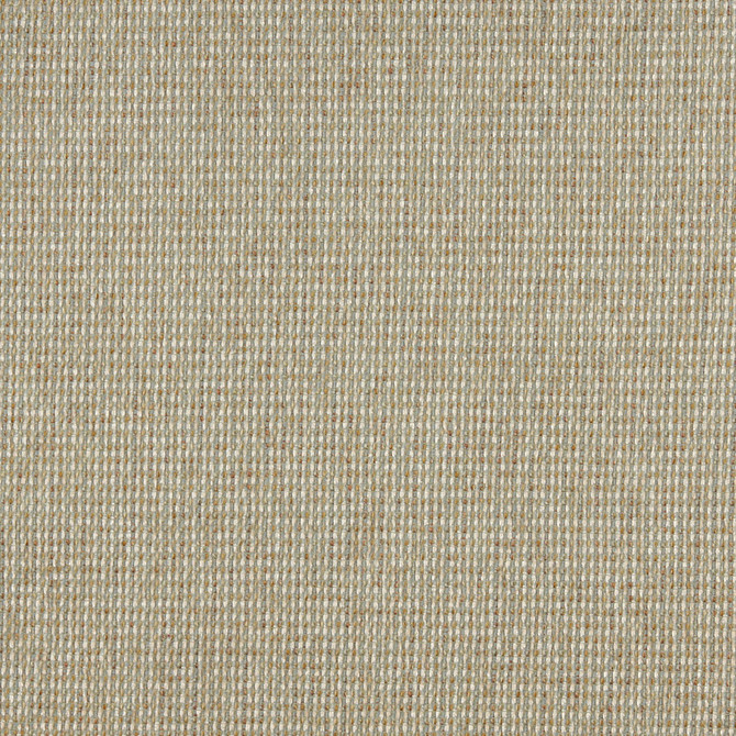 Charlotte Fabric 5174 Celadon Ring Book Page #38 100% Woven Polyester Asia Exceeds 110,000 Wyzenbeek Rubs (Heavy Duty) No Repeat 54 Inches - My Fabric Connection -