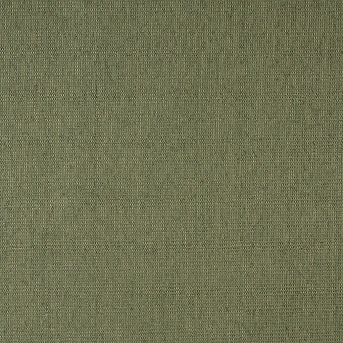 Charlotte Fabric 5218 Willow Decorative Durables IX 78% Olefin,22% Polyester Made In USA Exceeds 100,000 Wyzenbeek Rubs (Heavy Duty) No Repeat 54 Inches - My Fabric Connection -
