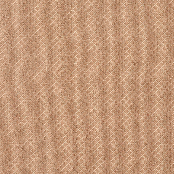 Charlotte Fabric 5594 Sand Ring Book Page #29 100% Woven Polyester Asia Exceeds 100,000 Wyzenbeek Rubs (Heavy Duty) Horizontal: 0.25" x Vertical: 0.25" 54 Inches - My Fabric Connection -