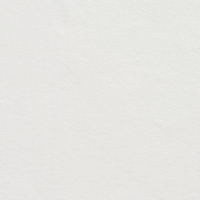 Charlotte Fabric 5671 Brilliant White Washed Denims 100% Cotton, Preshrunk Washed Denim Asia Exceeds 60,000 Wyzenbeek Rubs (Heavy Duty) No Repeat 54 Inches - My Fabric Connection -