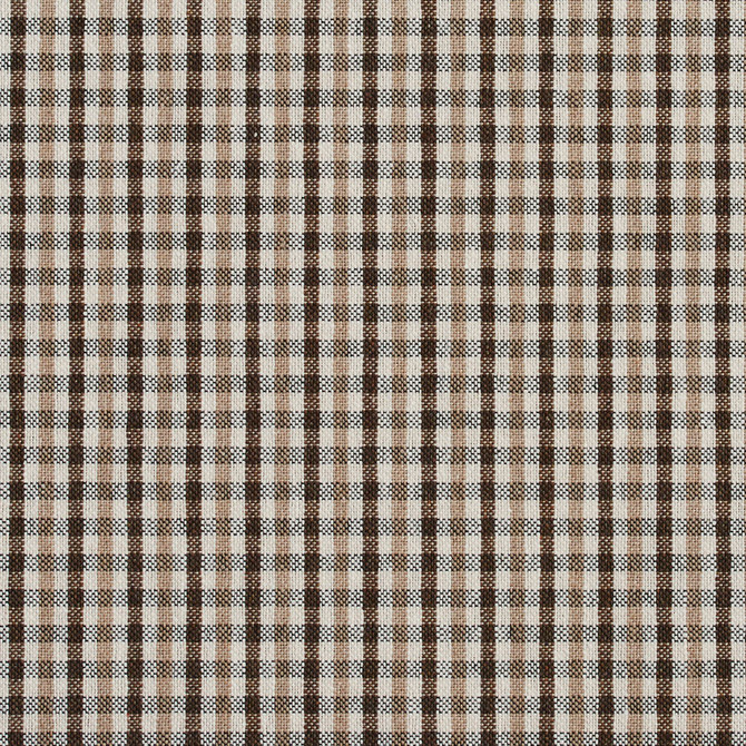 Charlotte Fabric 5812 Desert Check Classic Patterns 52% Polyester, 48% Cotton Made In USA Exceeds 200,000 Wyzenbeek Rubs (Heavy Duty) Horizontal: .5" X Vertical: .25" 54 Inches - My Fabric Connection -