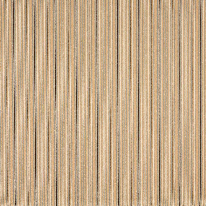 Charlotte Fabric 6476 Dresden Ring Book Page #53 47% Olefin, 24% Polyester, 21% Cotton, 8% Acrylic Made In USA Exceeds 110,000 Wyzenbeek Rubs (Heavy Duty) Horizontal: 2.75" 54 Inches - My Fabric Connection -