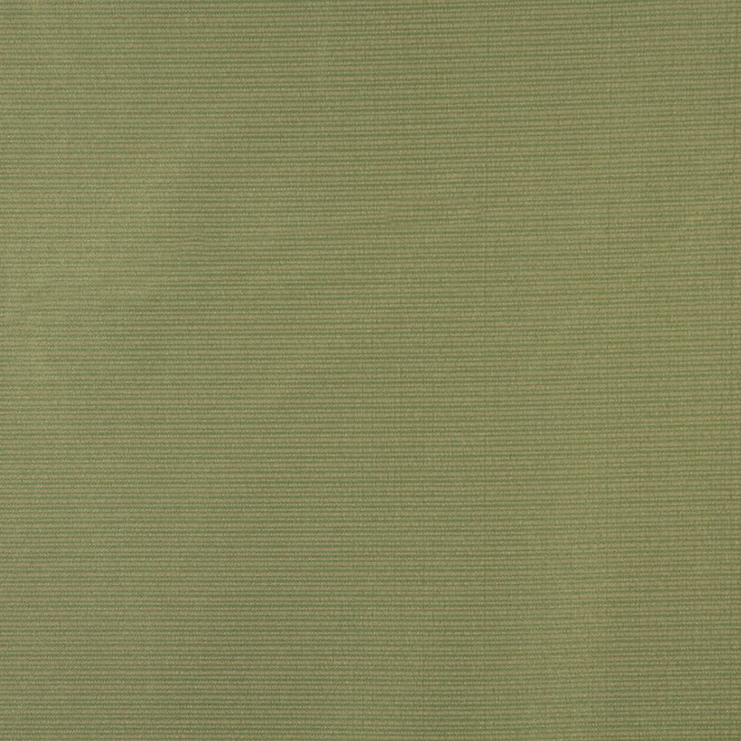 Charlotte Fabric 6618 Fern Outdoor/Indoor Oasis III 100% Woven Polyester Made In USA Exceeds 48,000 Wyzenbeek Rubs (Heavy Duty) </p><p>Repeat: No Repeat 54 Inches - My Fabric Connection -