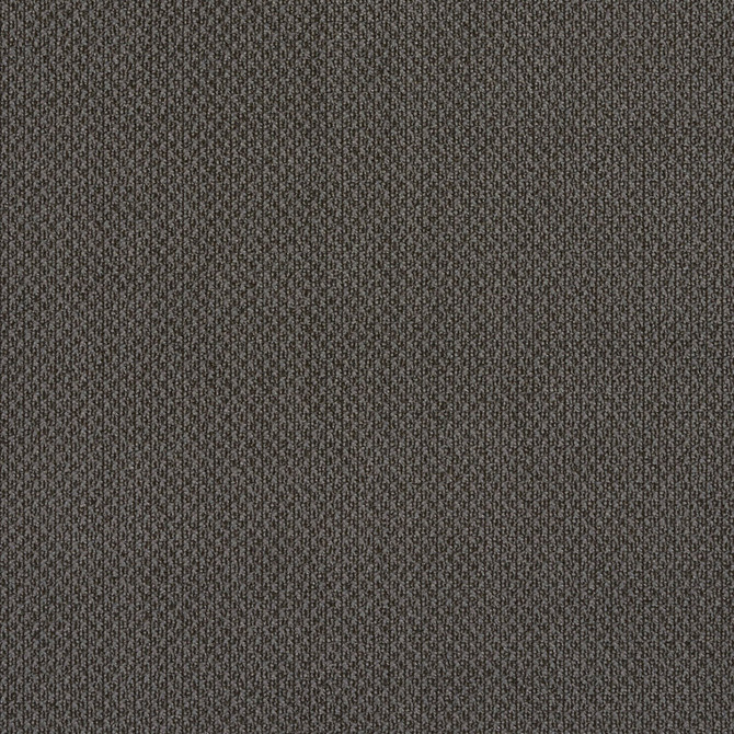 Charlotte Fabric 6979 Slate Ring Book Page #25A 100% Woven Polyester Asia Exceeds 140,000 Wyzenbeek Rubs (Heavy Duty) </p><p>Repeat: No Repeat 54 Inches - My Fabric Connection -