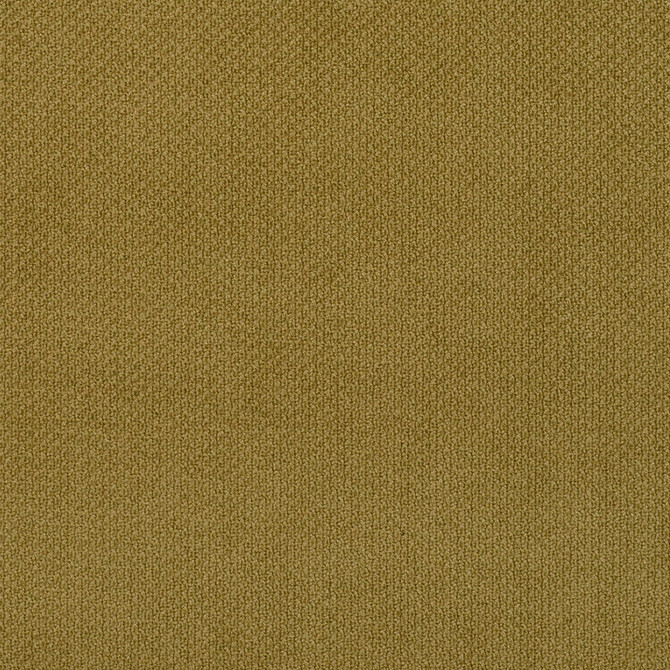 Charlotte Fabric 6981 Fern Ring Book Page #25A 100% Woven Polyester Asia Exceeds 140,000 Wyzenbeek Rubs (Heavy Duty) No Repeat 54 Inches - My Fabric Connection -