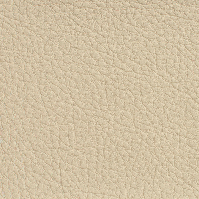Charlotte Fabric 7175 Ivory Heavy Duty Soft Touch Vinyl II 100% Virgin Vinyl, 30oz. Asia Exceeds 200,000 Wyzenbeek Rubs (Heavy Duty) No Repeat 54 Inches - My Fabric Connection -