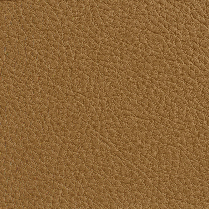 Charlotte Fabric 7189 Tan Heavy Duty Soft Touch Vinyl II 100% Virgin Vinyl, 30oz. Asia Exceeds 200,000 Wyzenbeek Rubs (Heavy Duty) No Repeat 54 Inches - My Fabric Connection -