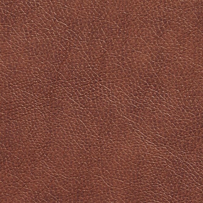 Charlotte Fabric 7425 Saddle Breathables 100% Breathable Polyurethane, 26oz. Asia Exceeds 250,000 Wyzenbeek Rubs (Heavy Duty) No Repeat 54 Inches - My Fabric Connection -
