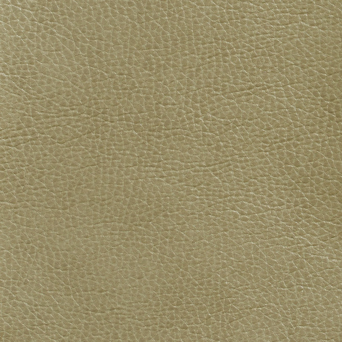 Charlotte Fabric 7439 Moss Breathables 100% Breathable Polyurethane, 26oz. Asia Exceeds 250,000 Wyzenbeek Rubs (Heavy Duty) No Repeat 54 Inches - My Fabric Connection -