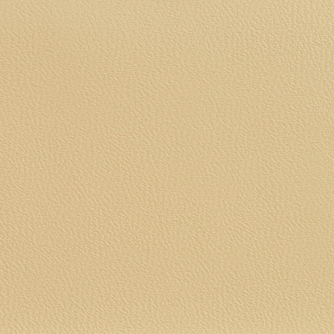 Charlotte Fabric 7594 Ecru Heavy Duty Soft Touch Vinyl II 100% Vinyl, 30oz. Asia Exceeds 200,000 Wyzenbeek Rubs (Heavy Duty) </p><p>Repeat: No Repeat 54 Inches - My Fabric Connection -