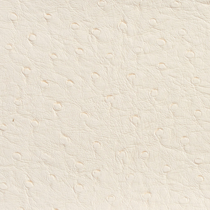 Charlotte Fabric 7704 Eggshell Outdoor/Indoor Vinyl Oasis 100% Vinyl, 32oz. Asia Exceeds 600,000 Wyzenbeek Rubs (Heavy Duty) </p><p>Repeat: No Repeat 54 Inches - My Fabric Connection -