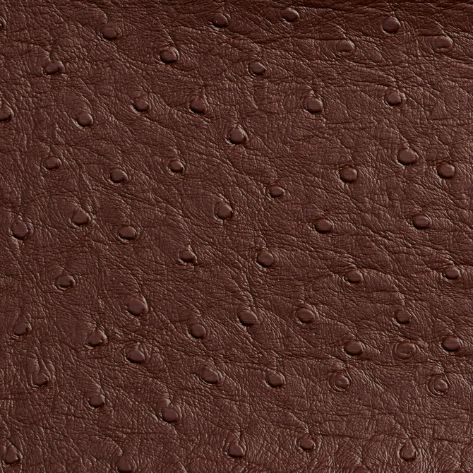 Charlotte Fabric 7706 Espresso Outdoor/Indoor Vinyl Oasis 100% Vinyl, 32oz. Asia Exceeds 600,000 Wyzenbeek Rubs (Heavy Duty) </p><p>Repeat: No Repeat 54 Inches - My Fabric Connection -