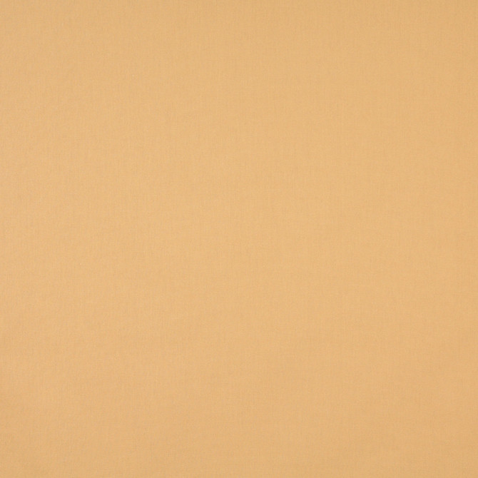 Charlotte Fabric 9454 Nugget Cotton Duck, Definitely Durable Duck & Forever Classics 100% Cotton, 12oz. Preshrunk Cotton Duck Made In USA Exceeds 60,000 Wyzenbeek Rubs (Heavy Duty) No Repeat 54 Inches - My Fabric Connection -