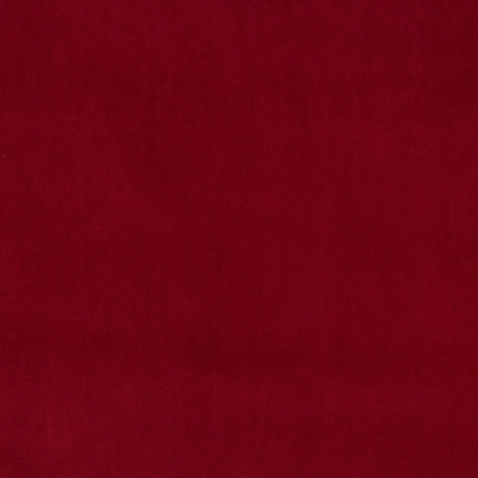 Charlotte Fabric 10000-02 Cotton Velvet 100% Cotton, Velvet Made In USA Exceeds 100,000 Wyzenbeek Rubs (Heavy Duty) No Repeat 54 Inches - My Fabric Connection -