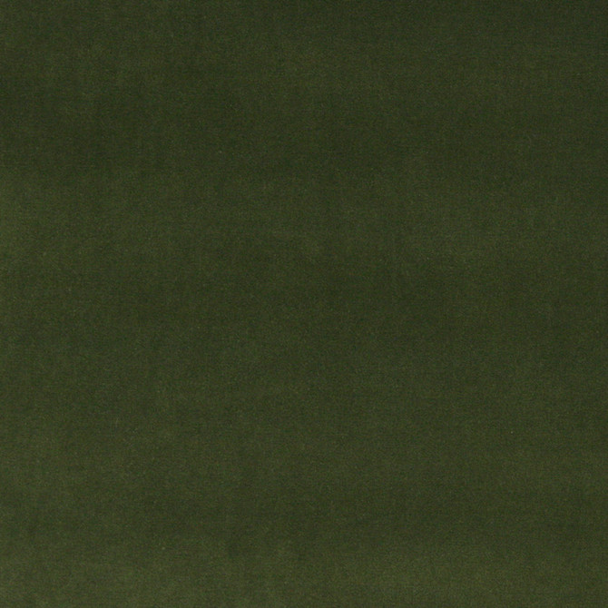 Charlotte Fabric 10000-07 Cotton Velvet 100% Cotton, Velvet Made In USA Exceeds 100,000 Wyzenbeek Rubs (Heavy Duty) No Repeat 54 Inches - My Fabric Connection -