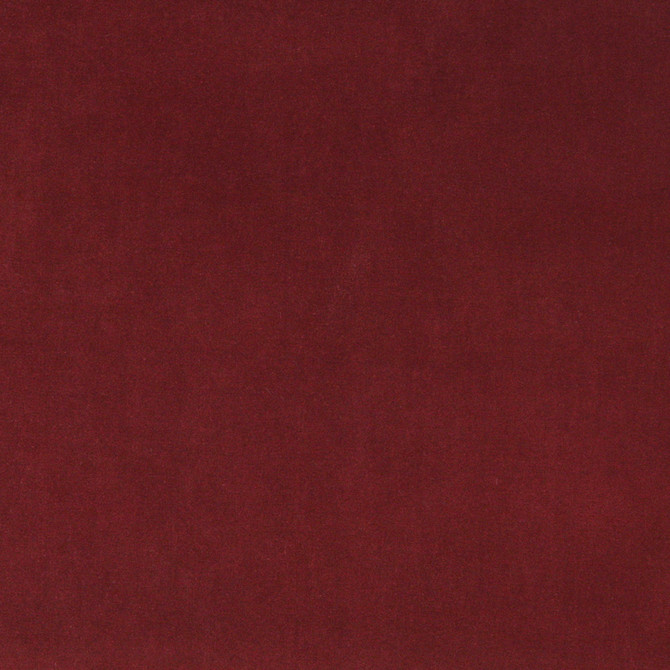 Charlotte Fabric 10000-14 Cotton Velvet 100% Cotton, Velvet Made In USA Exceeds 100,000 Wyzenbeek Rubs (Heavy Duty) No Repeat 54 Inches - My Fabric Connection -