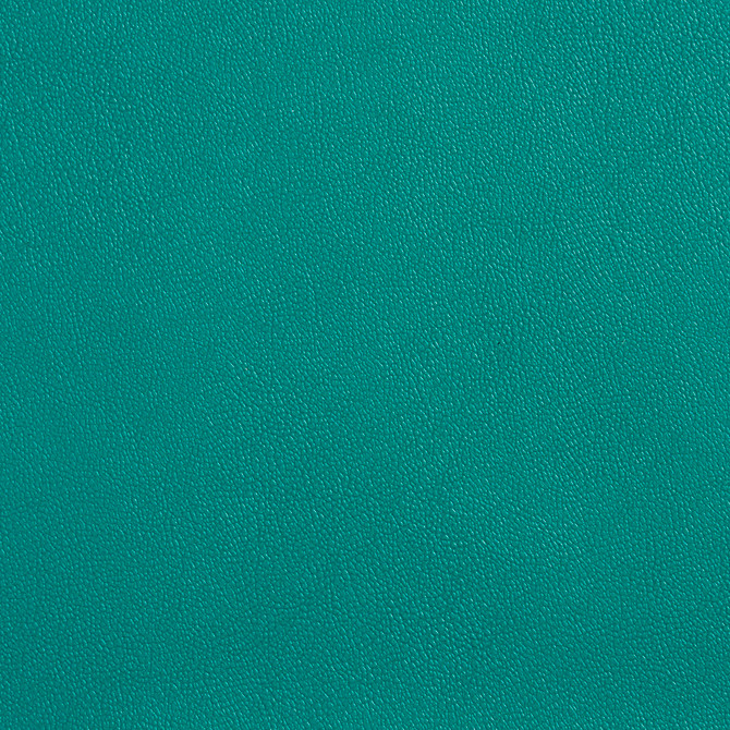 Charlotte Fabric Allsport-Green Green Allsport 100% 37oz. Virgin Vinyl Asia Exceeds 100,000 Wyzenbeek Rubs (Heavy Duty) No Repeat 54 Inches - My Fabric Connection -