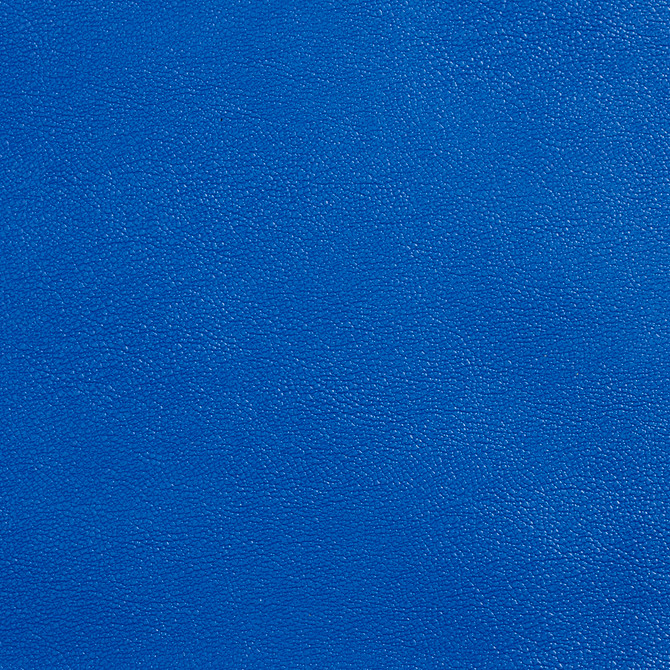 Charlotte Fabric Allsport-Royal Royal Allsport 100% Vinyl, 37oz. Asia Exceeds 100,000 Wyzenbeek Rubs (Heavy Duty) </p><p>Repeat: No Repeat 54 Inches - My Fabric Connection -