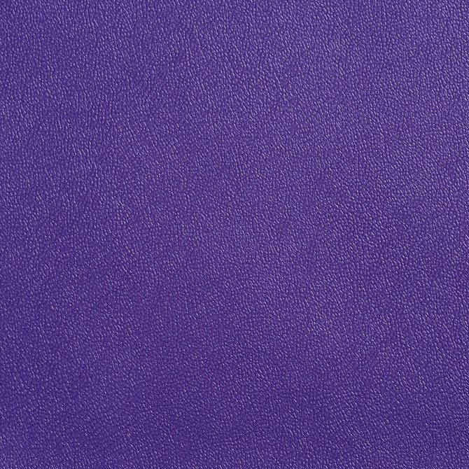 Charlotte Fabric Allsport-Violet Violet Allsport 100% Vinyl, 37oz. Asia Exceeds 100,000 Wyzenbeek Rubs (Heavy Duty) </p><p>Repeat: No Repeat 54 Inches - My Fabric Connection -
