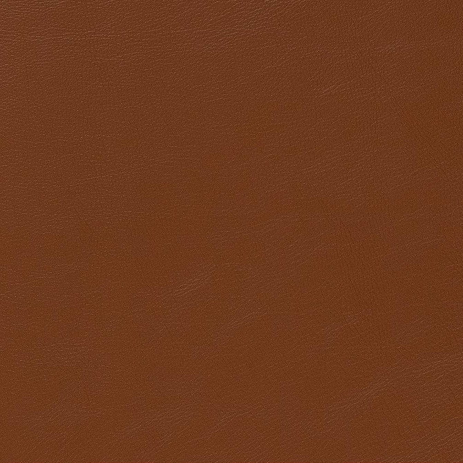 Charlotte Fabric 7468 Saddle UltraHyde Face: Vinyl/Polyurethane, Back: Polyester Microsuede, 29oz. Asia Exceeds 2,000,000 Wyzenbeek Double Rubs (Heavy Duty) </p><p>Repeat: No Repeat 54 Inches - My Fabric Connection -