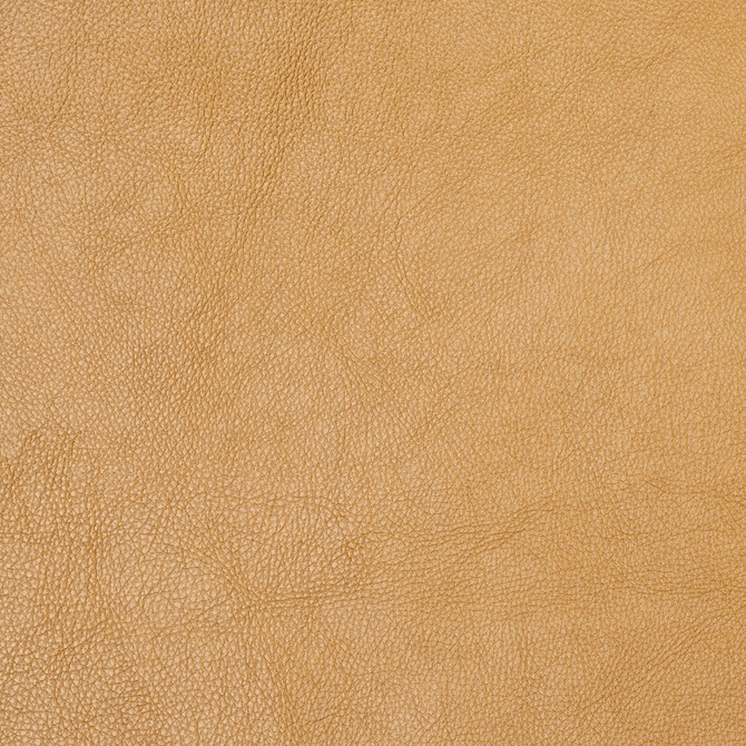 Charlotte Fabric 8069 Gold UltraHyde Face: Vinyl/Polyurethane, Back: Polyester Microsuede, 29oz. Asia Exceeds 200,000 Wyzenbeek Rubs (Heavy Duty) No Repeat 54 Inches - My Fabric Connection -