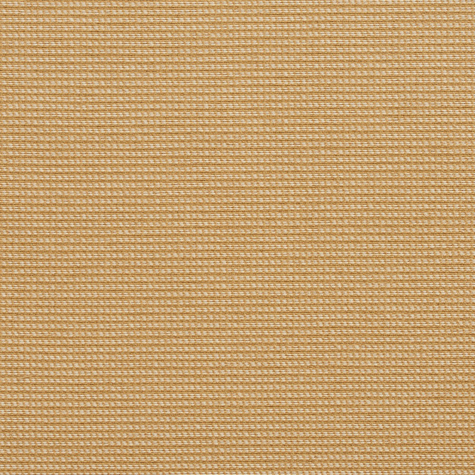 Charlotte Fabric 10600-01 Outdoor/Indoor Wovens II Solution Dyed Acrylic, Outdoor Polyester Blend Made In USA Exceeds 50,000 Wyzenbeek Rubs (Heavy Duty) No Repeat 54 Inches - My Fabric Connection -
