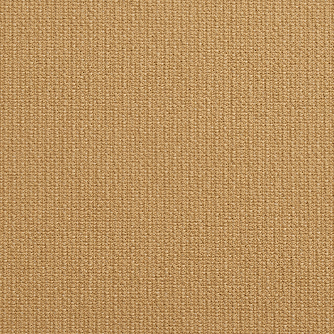 Charlotte Fabric 10670-01 Outdoor/Indoor Wovens II Solution Dyed Acrylic, Outdoor Polyester Blend Made In USA Exceeds 50,000 Wyzenbeek Rubs (Heavy Duty) No Repeat 54 Inches - My Fabric Connection -
