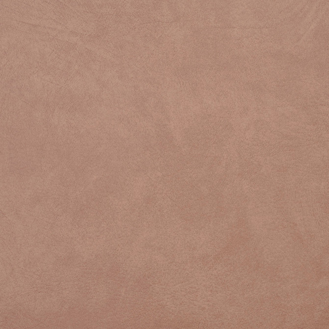 Charlotte Fabric 8098 Taupe Soft Touch Leather Looks 100% Vinyl, 29oz. Asia Exceeds 200,000 Wyzenbeek Rubs (Heavy Duty) </p><p>Repeat: No Repeat 54 Inches - My Fabric Connection -