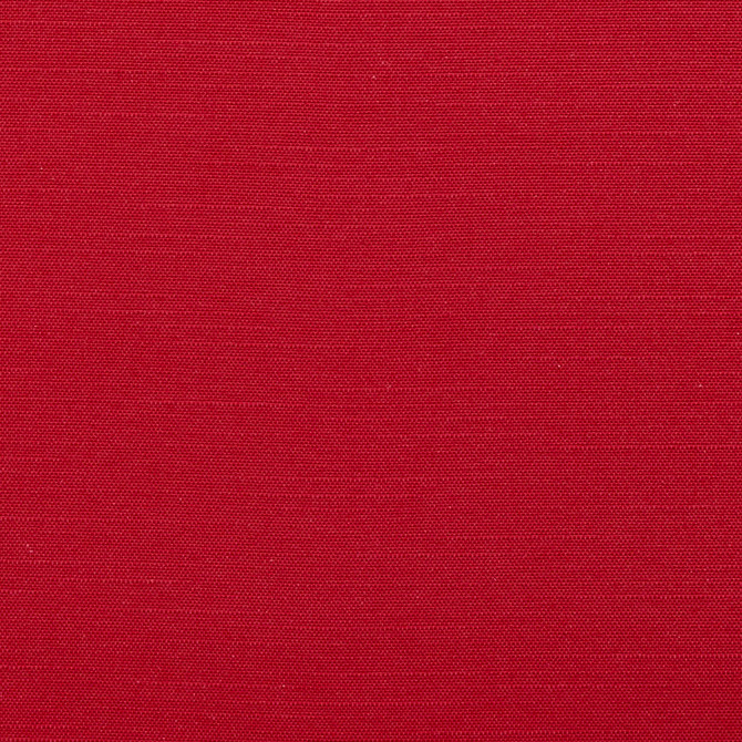 Charlotte Fabric 10880-01 Botanical Prints 60% Cotton, 40% Polyester Spain Exceeds 80,000 Wyzenbeek Rubs (Heavy Duty) No Repeat 54 Inches - My Fabric Connection -