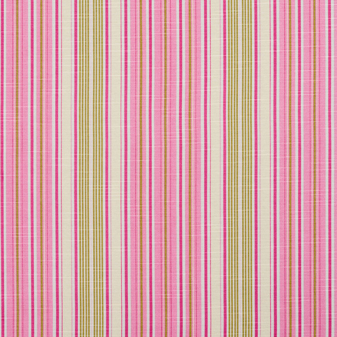 Charlotte Fabric 10900-01 Botanical Prints 60% Cotton, 40% Polyester Spain Exceeds 80,000 Wyzenbeek Rubs (Heavy Duty) </p><p>Repeat: Horizontal: 9.5" 54 Inches - My Fabric Connection -