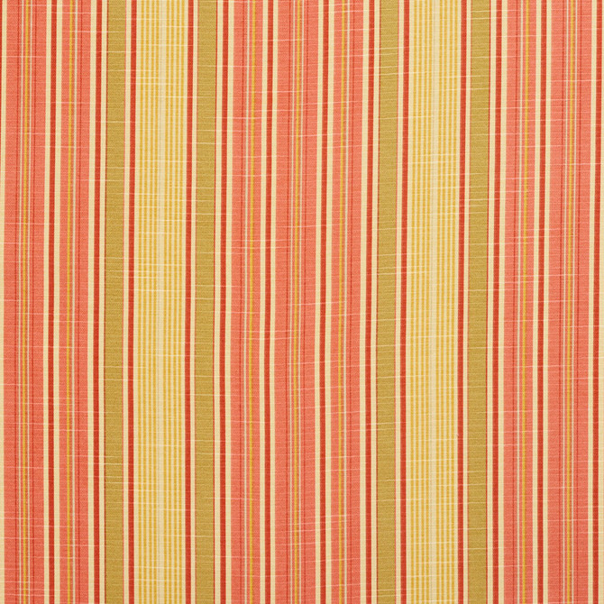 Charlotte Fabric 10900-02 Botanical Prints 60% Cotton, 40% Polyester Spain Exceeds 80,000 Wyzenbeek Rubs (Heavy Duty) Horizontal: 9.5" 54 Inches - My Fabric Connection -