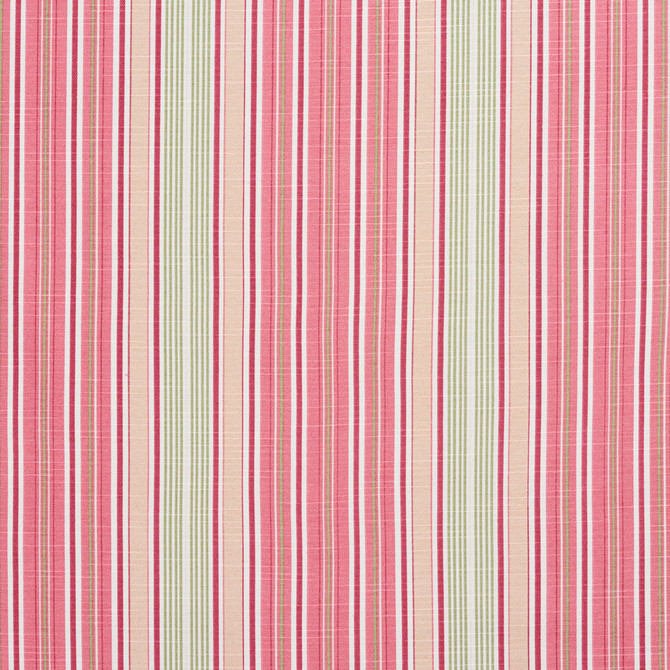 Charlotte Fabric 10900-03 Botanical Prints 60% Cotton, 40% Polyester Spain Exceeds 80,000 Wyzenbeek Rubs (Heavy Duty) Horizontal: 9.5" 54 Inches - My Fabric Connection -