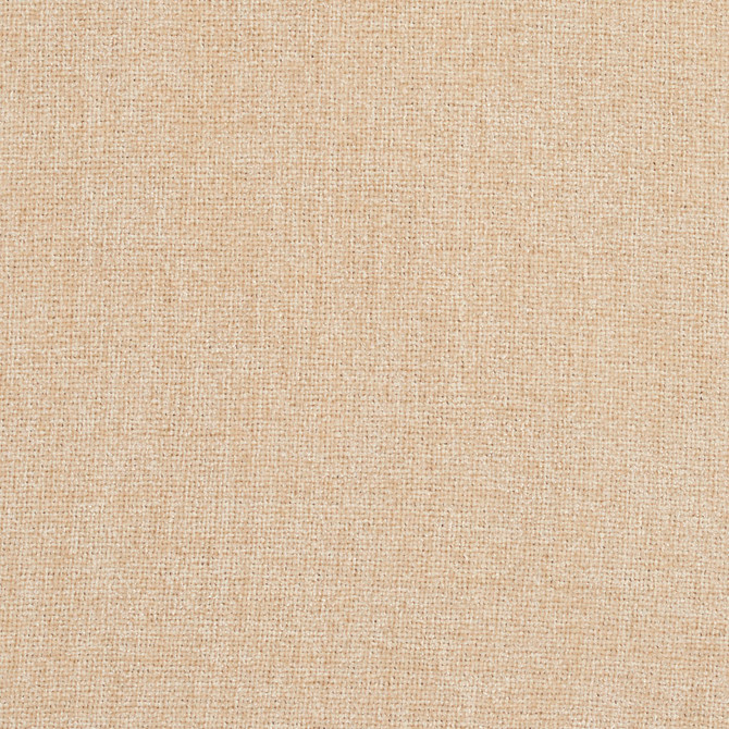Charlotte Fabric 2947 Cream Ring Book Page #3A 100% Woven Polyester Asia Exceeds 100,000 Wyzenbeek Rubs (Heavy Duty) No Repeat 54 Inches - My Fabric Connection -