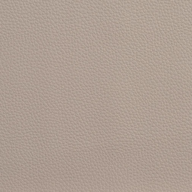 Charlotte Fabric V157 Taupe 4-Way Stretch 100% Vinyl Asia Exceeds 100,000 Wyzenbeek Rubs (Heavy Duty) No Repeat 54 Inches - My Fabric Connection -