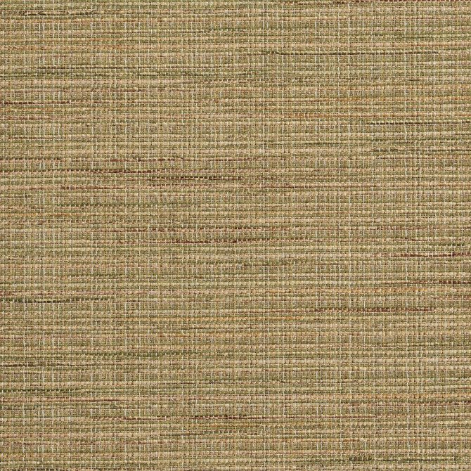 Charlotte Fabric R150 Rosemary Ring Book Page #23B 86% Polyester, 14% Acrylic Made In USA Exceeds 75,000 Wyzenbeek Rubs (Heavy Duty) </p><p>Repeat: No Repeat 54 Inches - My Fabric Connection -