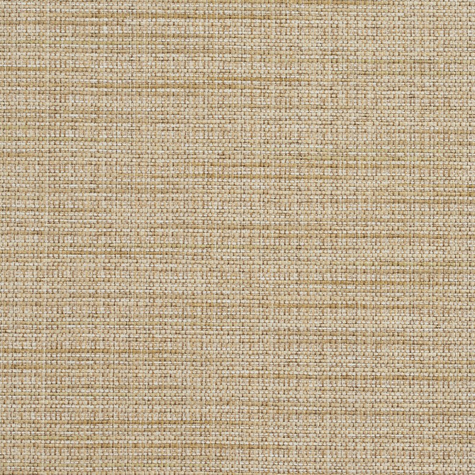 Charlotte Fabric R154 Sesame Ring Book Page #23B 86% Polyester, 14% Acrylic Made In USA Exceeds 75,000 Wyzenbeek Rubs (Heavy Duty) No Repeat 54 Inches - My Fabric Connection -