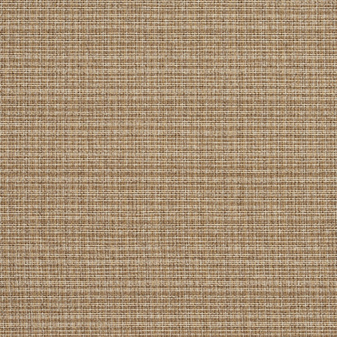 Charlotte Fabric R156 Wheat Ring Book Page #23B 86% Polyester, 14% Acrylic Made In USA Exceeds 75,000 Wyzenbeek Rubs (Heavy Duty) No Repeat 54 Inches - My Fabric Connection -
