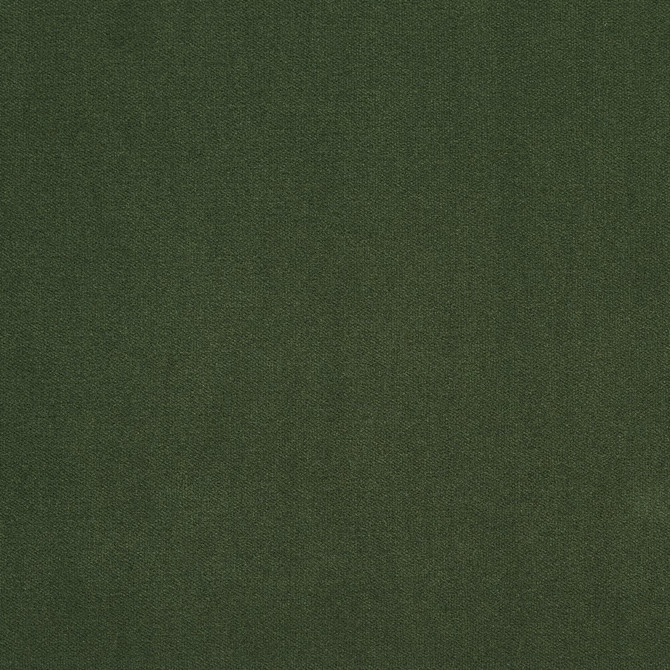 Charlotte Fabric 20940-25 Crypton Woven Velvet 100% Woven Polyester Made In USA Exceeds 200,000 Wyzenbeek Rubs (Heavy Duty) No Repeat 54 Inches - My Fabric Connection -