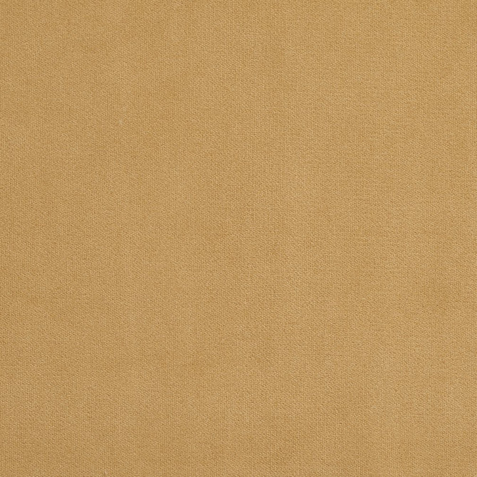 Charlotte Fabric 20940-26 Crypton Woven Velvet 100% Woven Polyester Made In USA Exceeds 200,000 Wyzenbeek Rubs (Heavy Duty) </p><p>Repeat: No Repeat 54 Inches - My Fabric Connection -