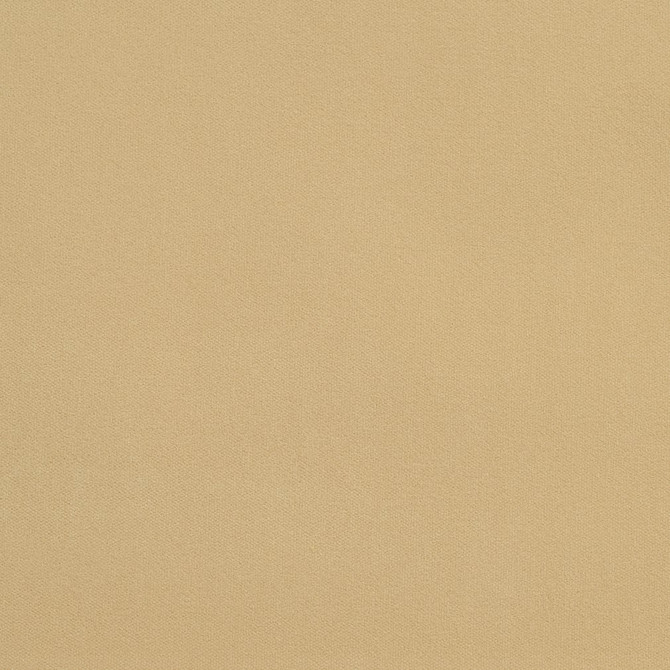 Charlotte Fabric 20940-29 Crypton Woven Velvet 100% Woven Polyester Made In USA Exceeds 200,000 Wyzenbeek Rubs (Heavy Duty) </p><p>Repeat: 54 Inches - My Fabric Connection -